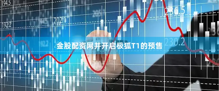 金股配资网并开启极狐T1的预售